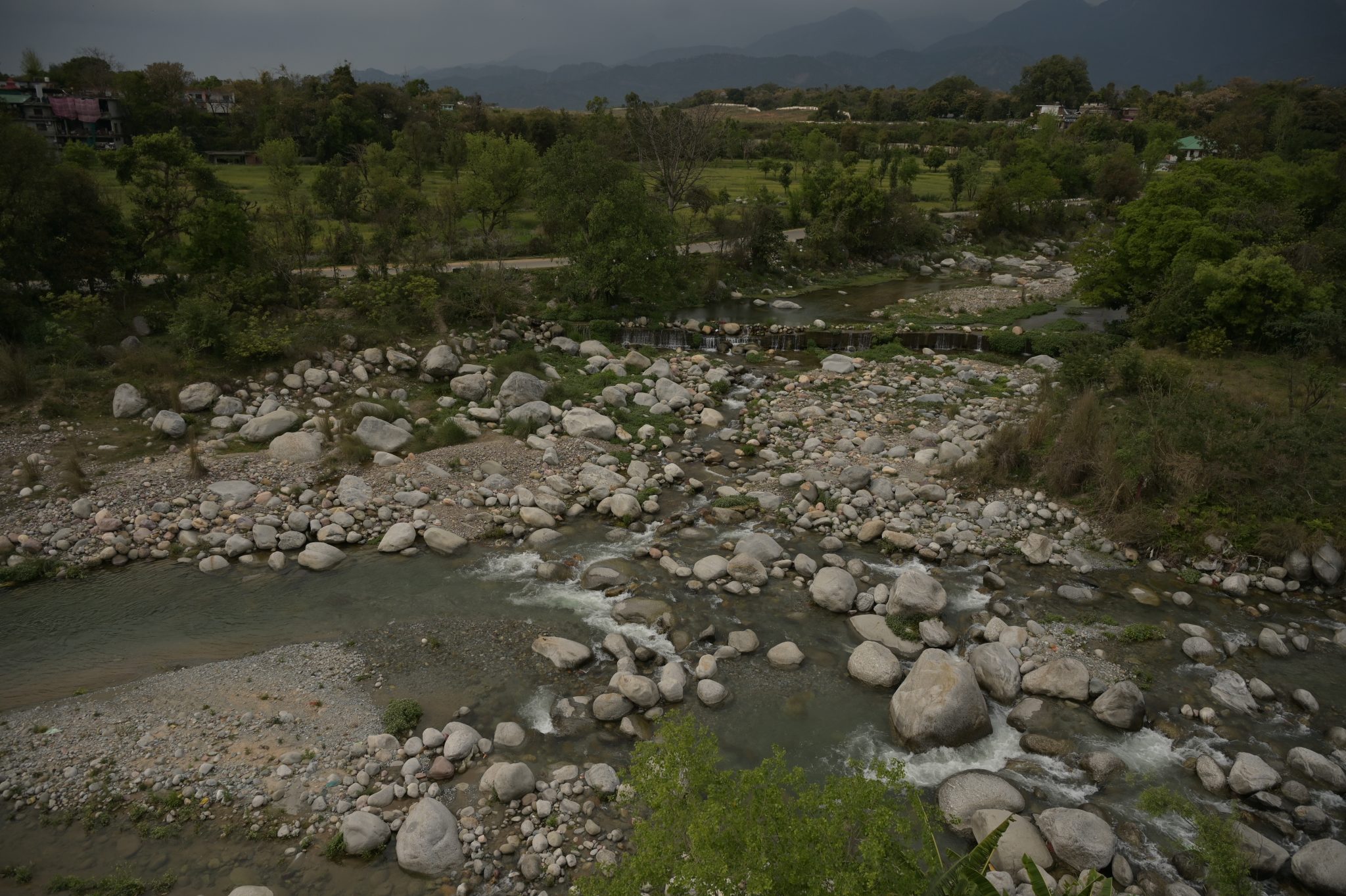 Wedding Banquet in Dharamshala